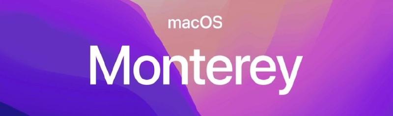 Featured image of post macOS Monterey QuickLook still flaky
