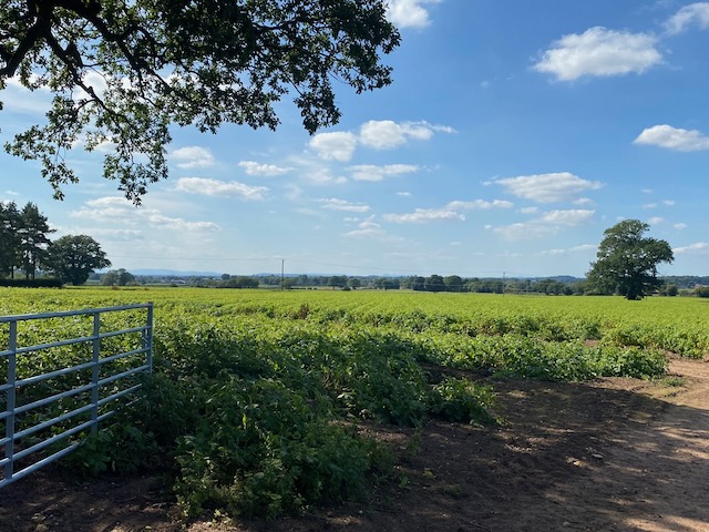 Wrekin from Edgmond