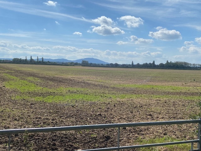 Wrekin from Preston on the Weald Moors